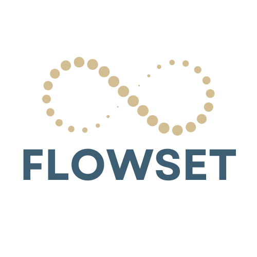 FLOWSET üzleti márkalogó – strukturált működés és döntéstámogatás
